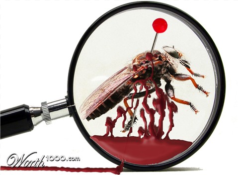 Photoshop Design by bagraves1980