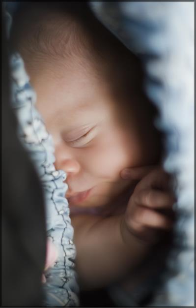 Photography by paddyjoe