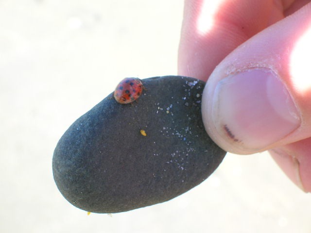 Photography by keri0105 for DesignCrowd (Community Contests) | Design #8961814