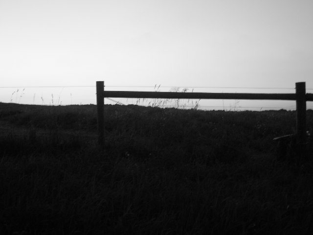 Photography by keri0105 for DesignCrowd (Community Contests) | Design #8961206