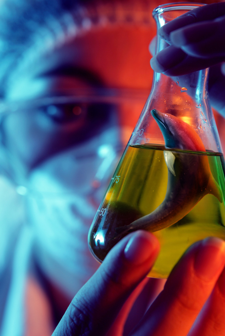 Diseño de Photoshop por blackbook para DesignCrowd (Community Contests) | Diseño #8964272