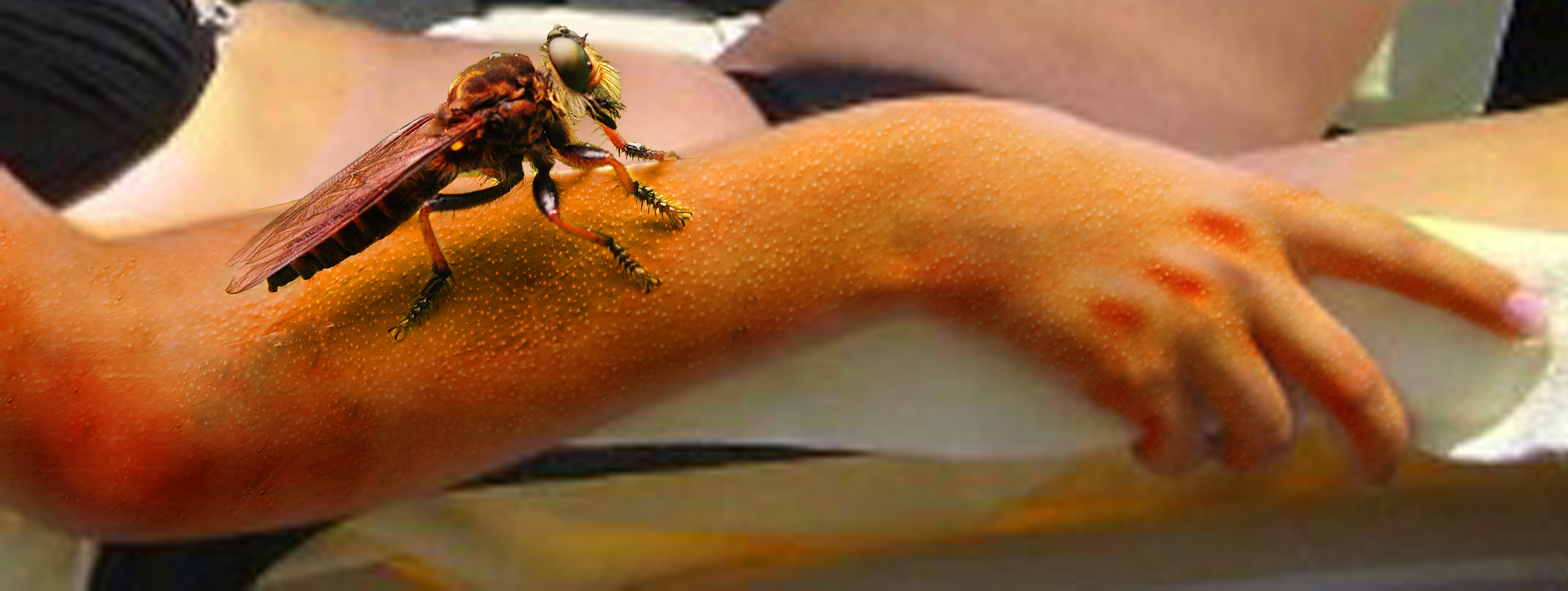 Photoshop-Design von oneOtwo für DesignCrowd (Community Contests) | Design #8961729