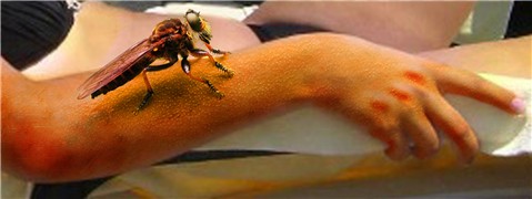 Photoshop Design by oneOtwo