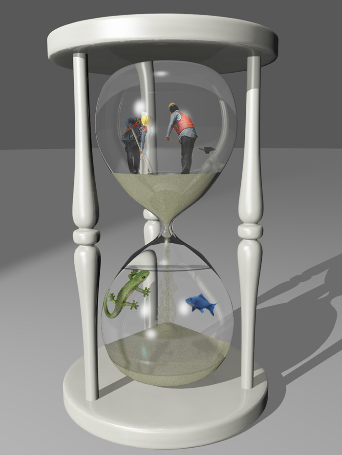 Photoshop Design by jbuchmann55 for DesignCrowd (Community Contests) | Design #8964230