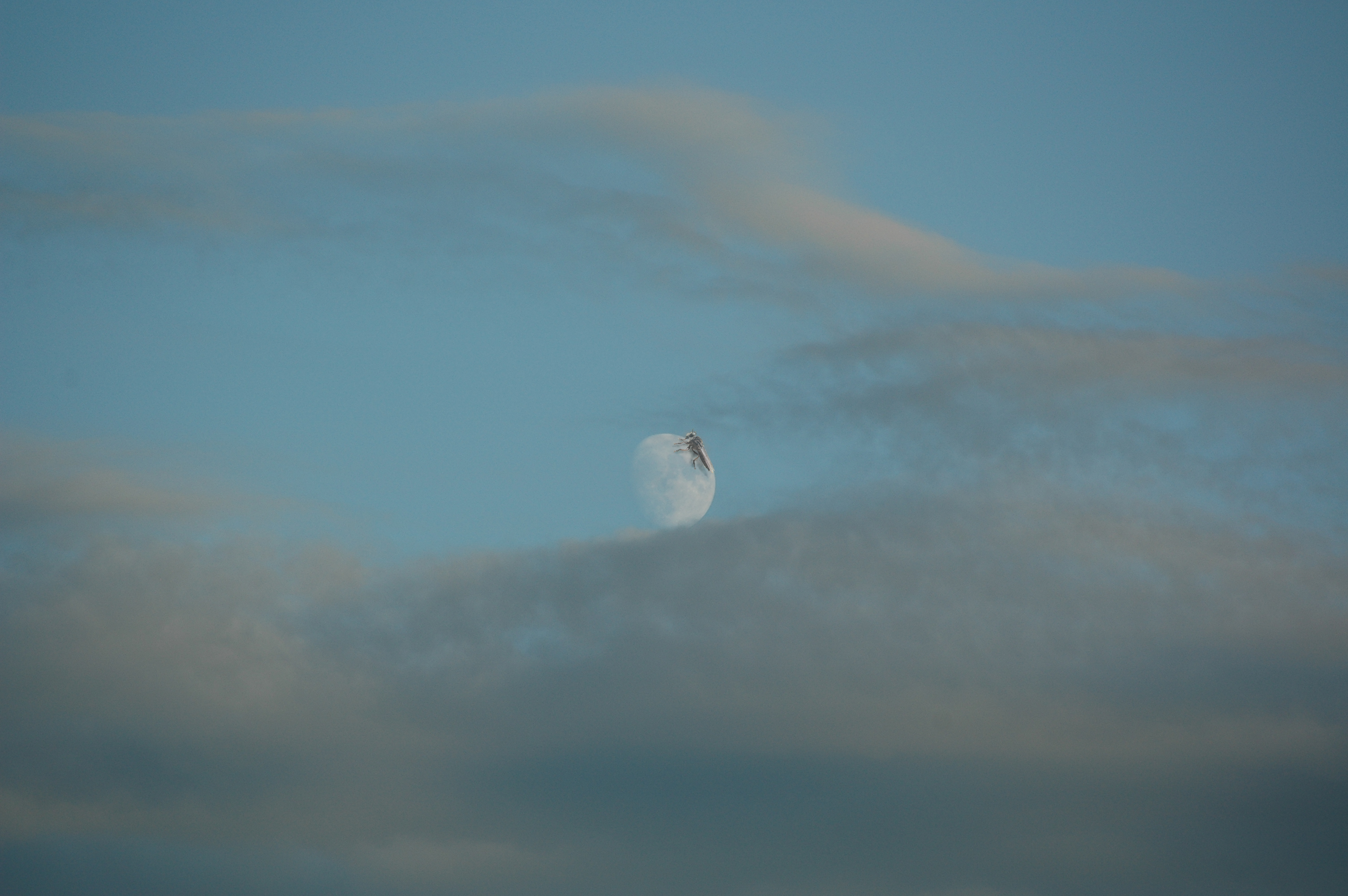 Photoshop-Design von Anrayzain für DesignCrowd (Community Contests) | Design #8961734