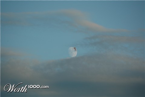 Photoshop Design by Anrayzain