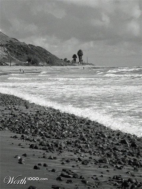 Photography by bestpicturesever