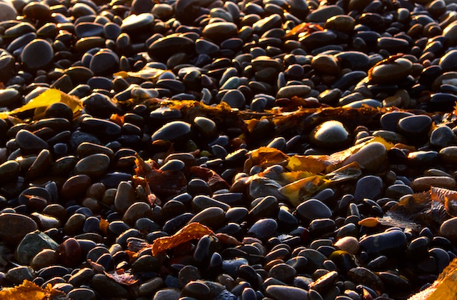 Fotografía por jester11221122 para DesignCrowd (Community Contests) | Diseño #8961836