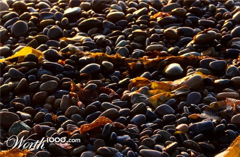 Photography by jester11221122