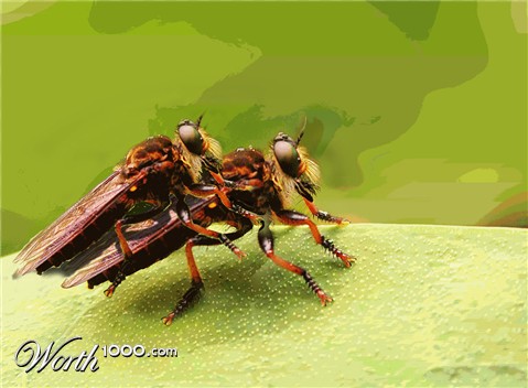 Photoshop Design by pixandfix