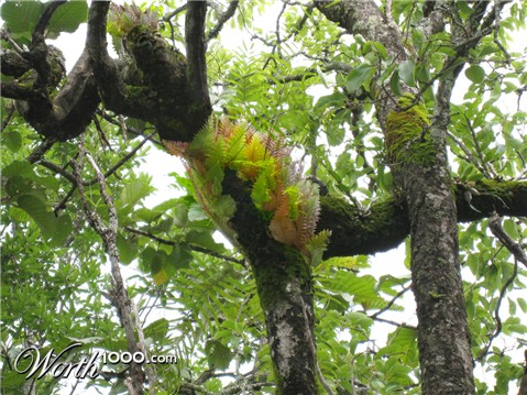 Photoshop Design by ariox222