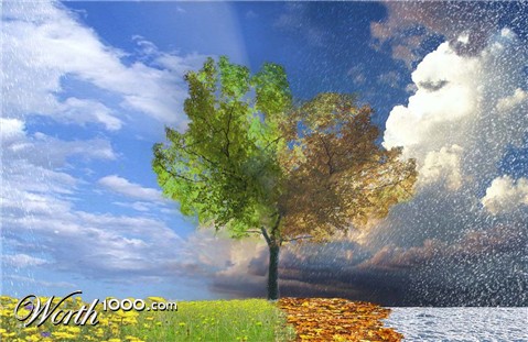 Photoshop Design by marijnpeter