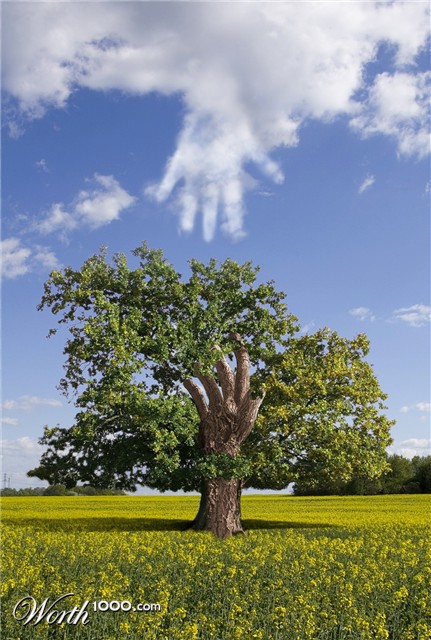 Photoshop Design by 4RN01DV4NR001J