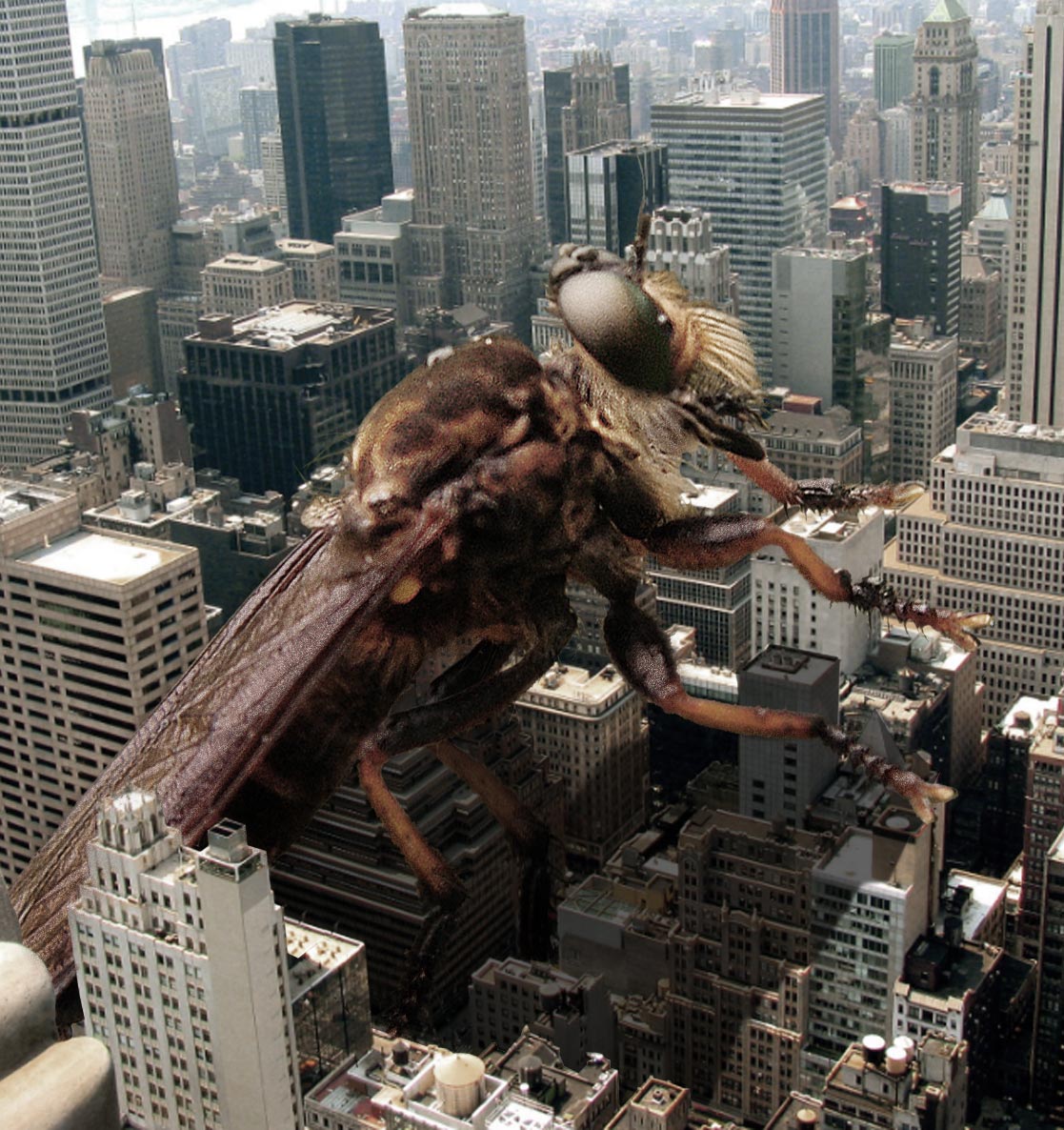 Photoshop Design by slegyras for DesignCrowd (Community Contests) | Design #8961808