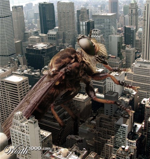 Photoshop Design by slegyras