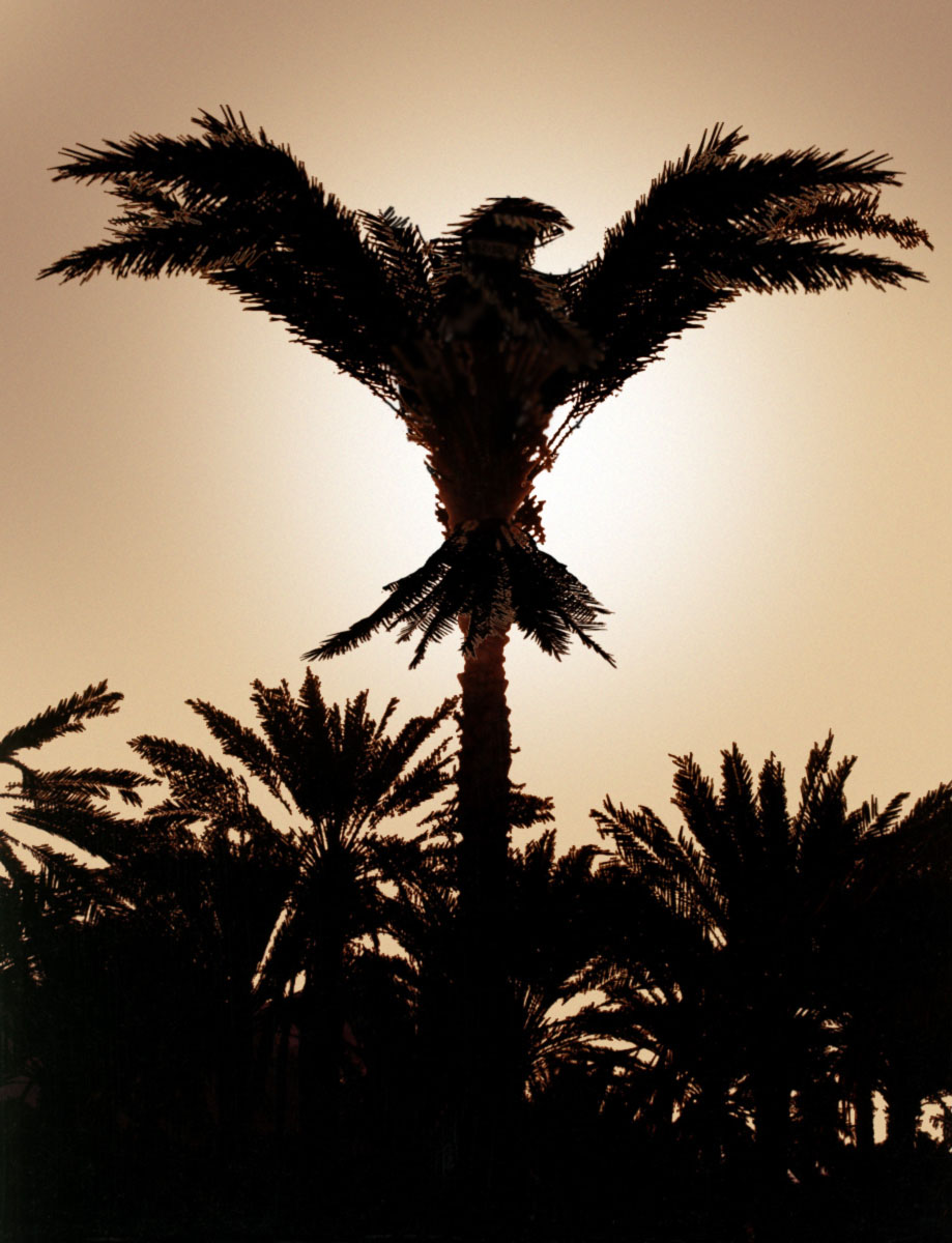 Photoshop Design by bsistrunk for DesignCrowd (Community Contests) | Design #8962636