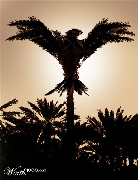 Photoshop Design by bsistrunk