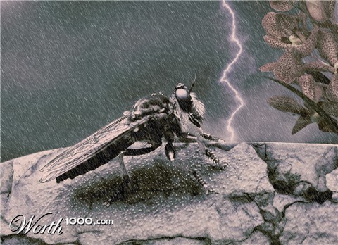 Photoshop Design by PatWeiss