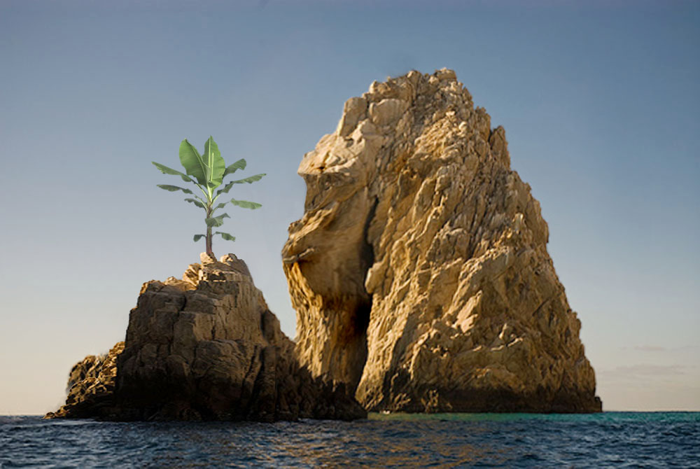 Diseño de Photoshop por colleague para DesignCrowd (Community Contests) | Diseño #8962664