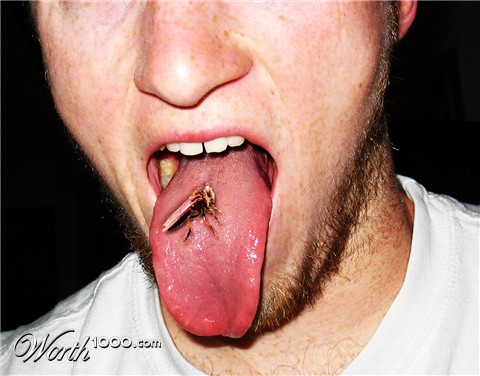 Photoshop Design by TIZZLER