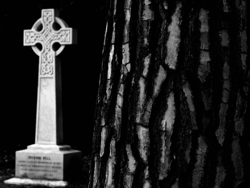 Photography by ginscambia for DesignCrowd (Community Contests) | Design #8963320