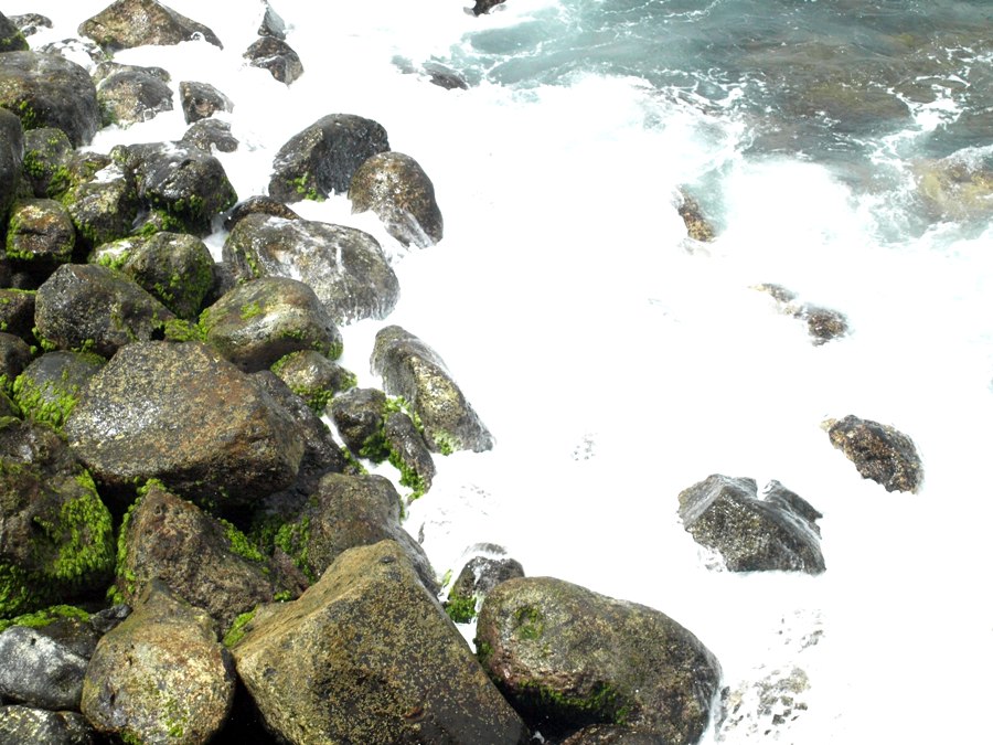 Fotografía por Succexxyy para DesignCrowd (Community Contests) | Diseño #8961874