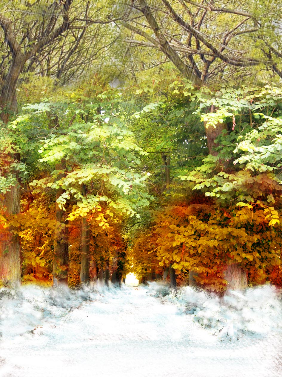 Photoshop Design by KaettvonM for DesignCrowd (Community Contests) | Design #8962218