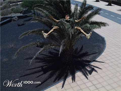 Photoshop Design by bicyclewilli