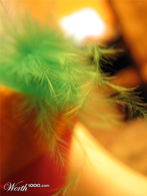 Photography by paradoxart