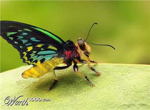 Photoshop Design by gatorgirlie08