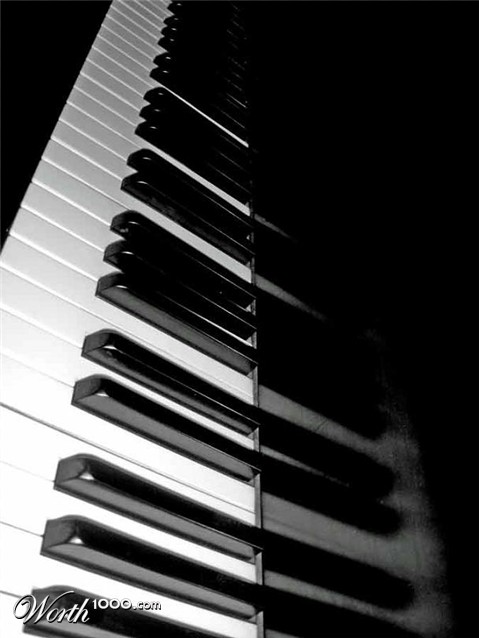 Photography by bestpicturesever