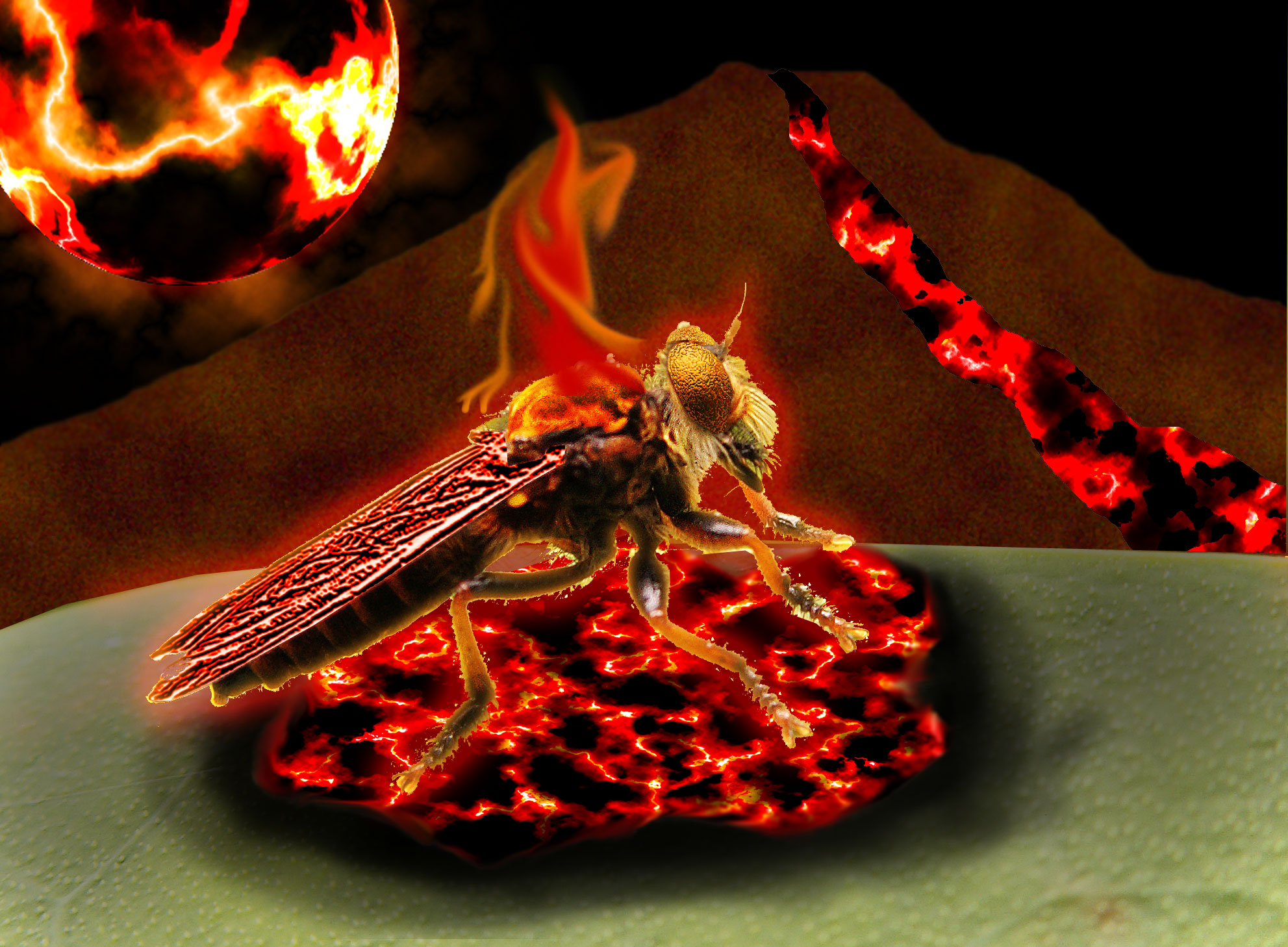 Diseño de Photoshop por viper10201 para DesignCrowd (Community Contests) | Diseño #8961822