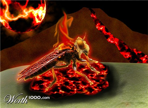 Photoshop Design by viper10201