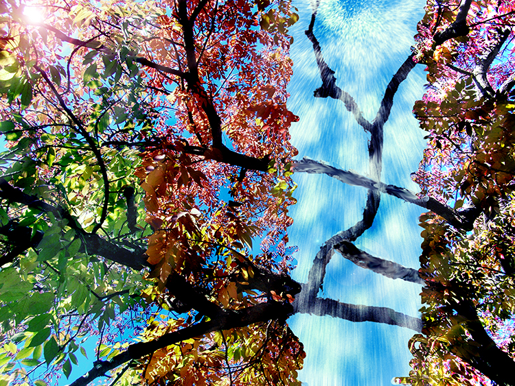 Diseño de Photoshop por bagraves1980 para DesignCrowd (Community Contests) | Diseño #8962280