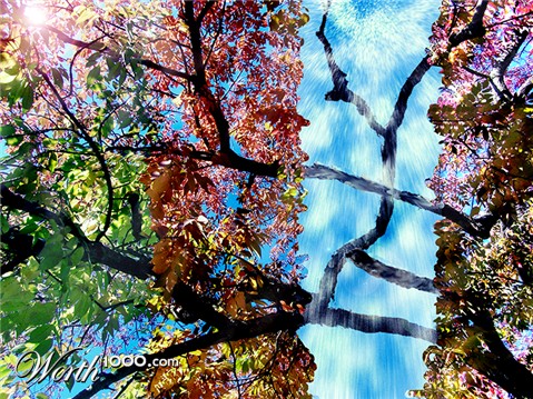 Photoshop Design by bagraves1980