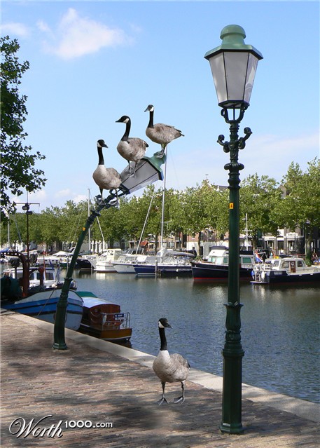 Photoshop Design by kremerb