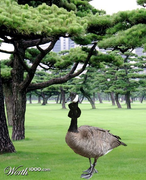 Photoshop Design by diveclass101