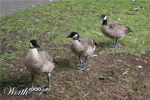 Photoshop Design by smithers360