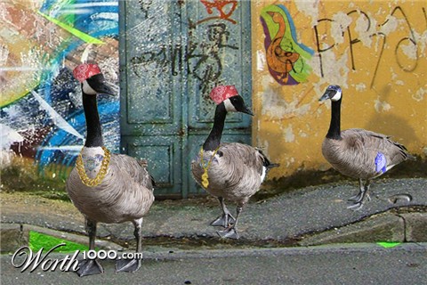 Photoshop Design by tombearr