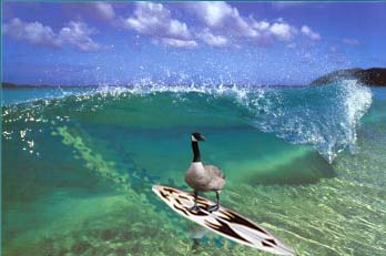 Diseño de Photoshop por MianV para DesignCrowd (Community Contests) | Diseño #8962414