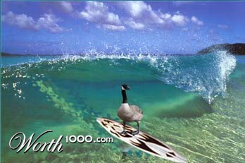 Photoshop Design by MianV