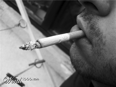 Photography by tvmanijak