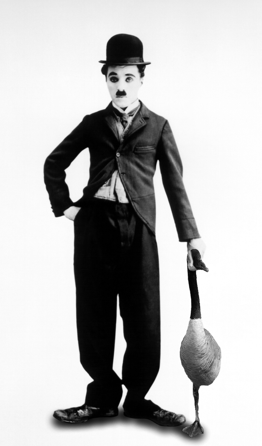 Photoshop Design by wendyrulkens for DesignCrowd (Community Contests) | Design #8962398