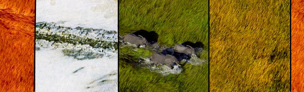 Photoshop Design by z0ltar for DesignCrowd (Community Contests) | Design #8962265