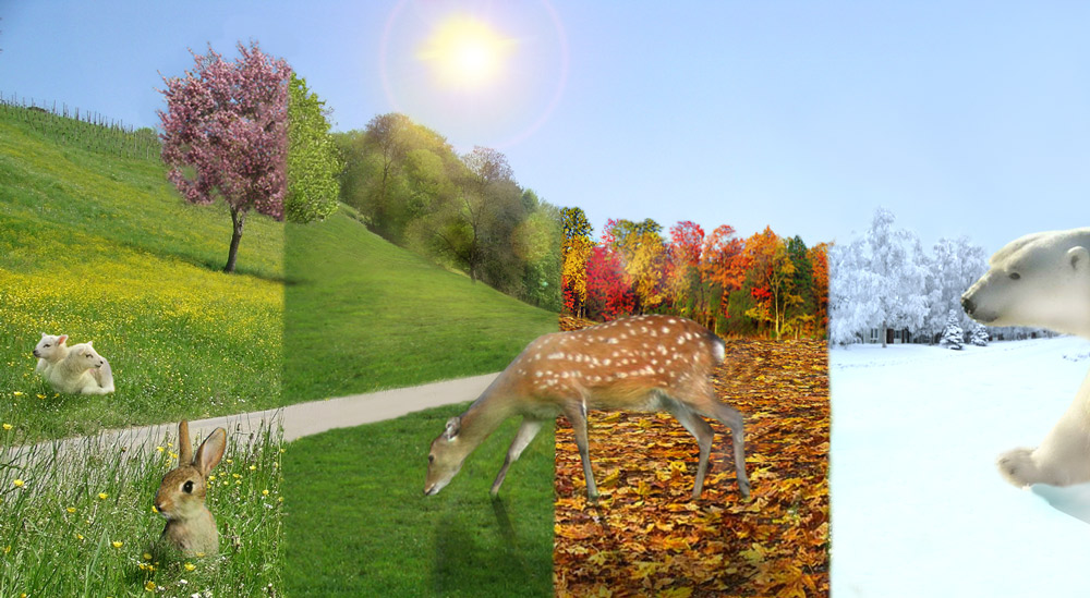 Photoshop Design by Sconz323 for DesignCrowd (Community Contests) | Design #8962273