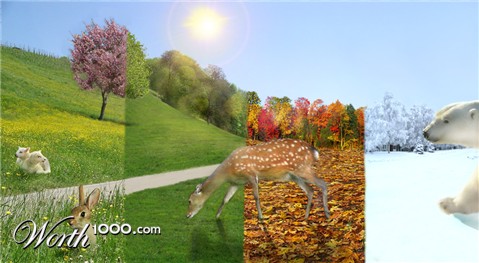 Photoshop Design by Sconz323