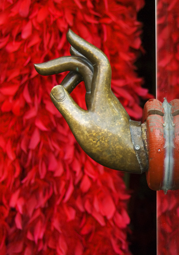 Photography by HappyWanderer for DesignCrowd (Community Contests) | Design #8961068