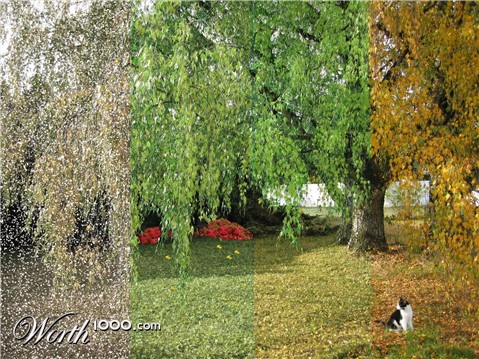 Photoshop Design by catnipmouse