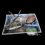 Photoshop Design by LordPAK