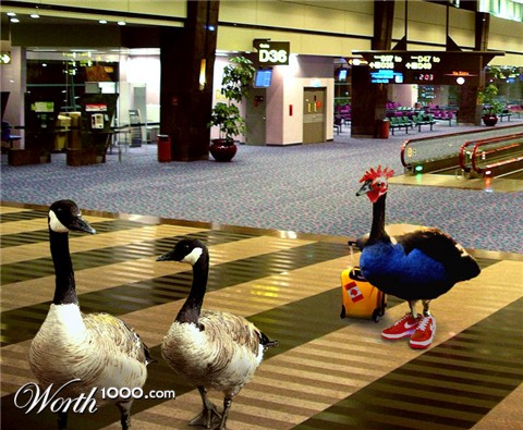 Photoshop Design by artility